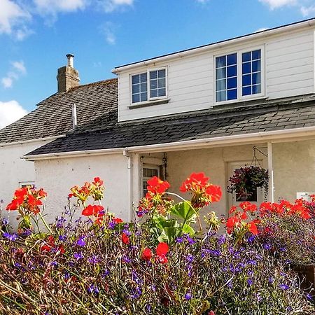 Meadow Lakes Holiday Park St Austell Extérieur photo
